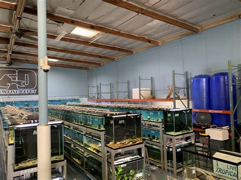 Aquarium Fish Depot .